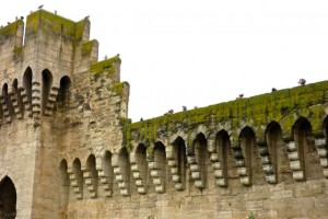 The outer wall of Avignon is mostly intact and houses thousands of pigeons