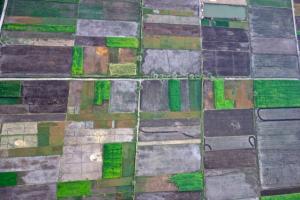 Fields from above
