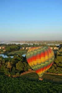 Landing in a farmer's field